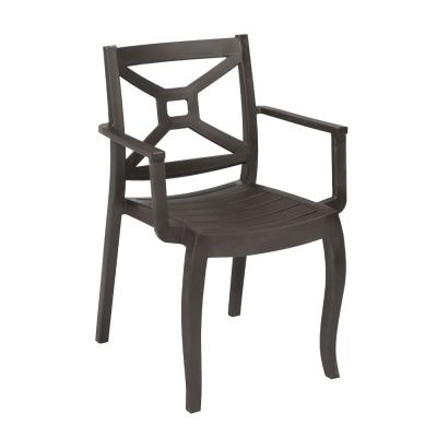 Zeus Arm Chair Anthracite