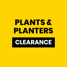 Plants & Planters Clearance