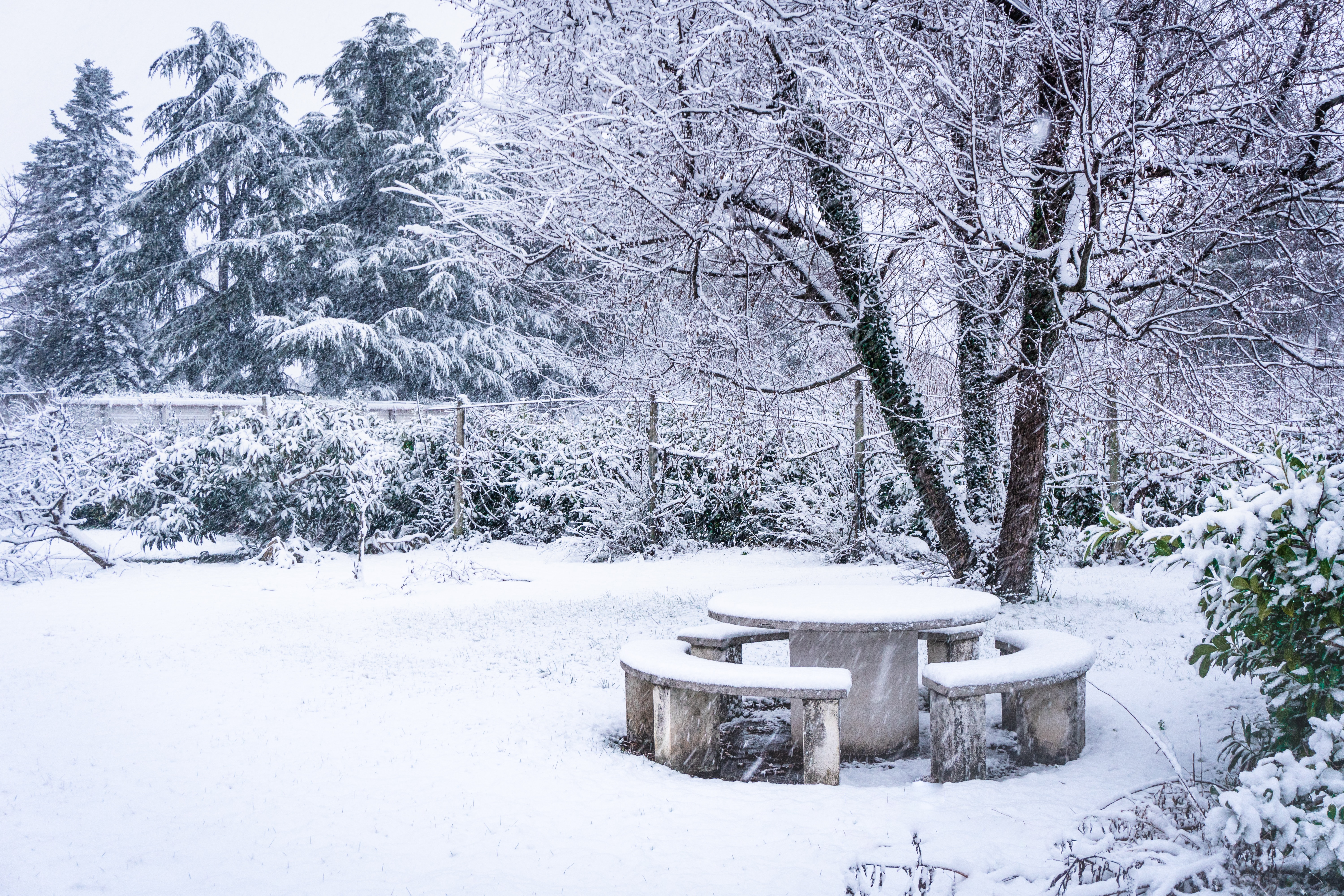 Garden bench and table covered in snow.