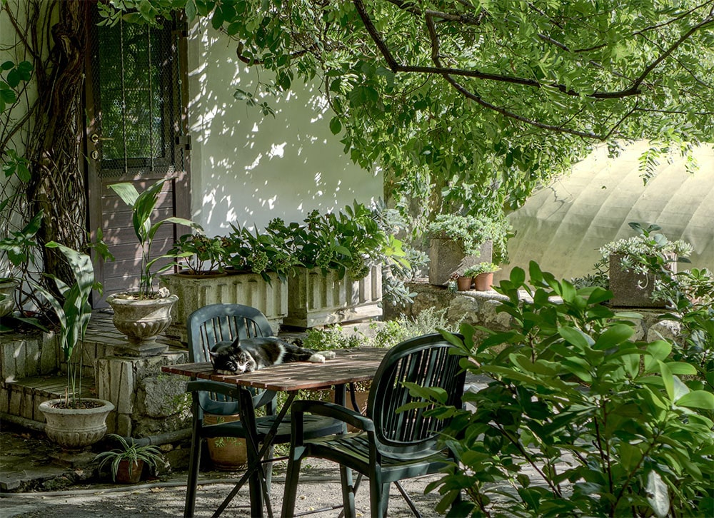 Garden furniture in a green setting.