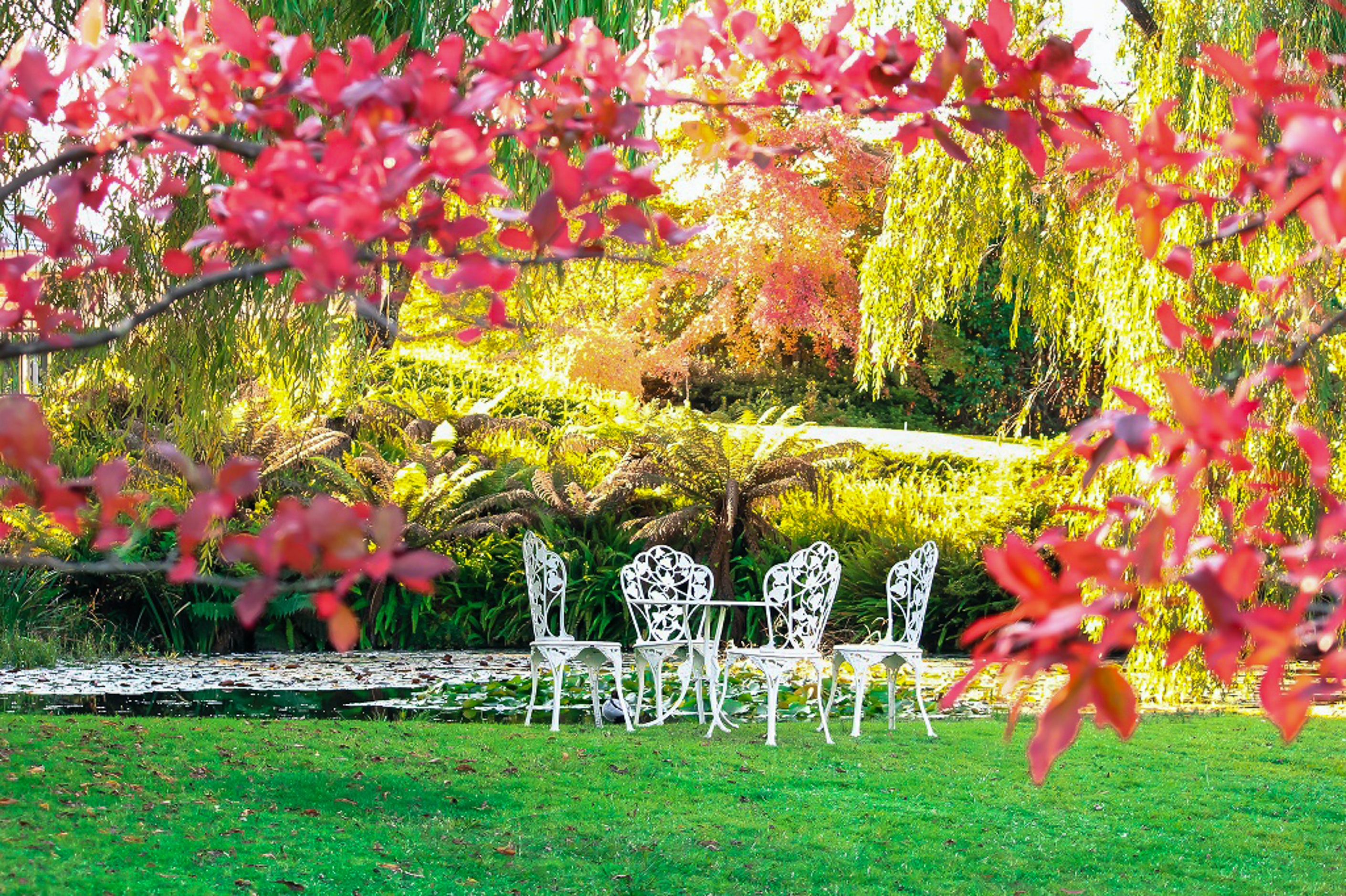 white garden chairs in a garden