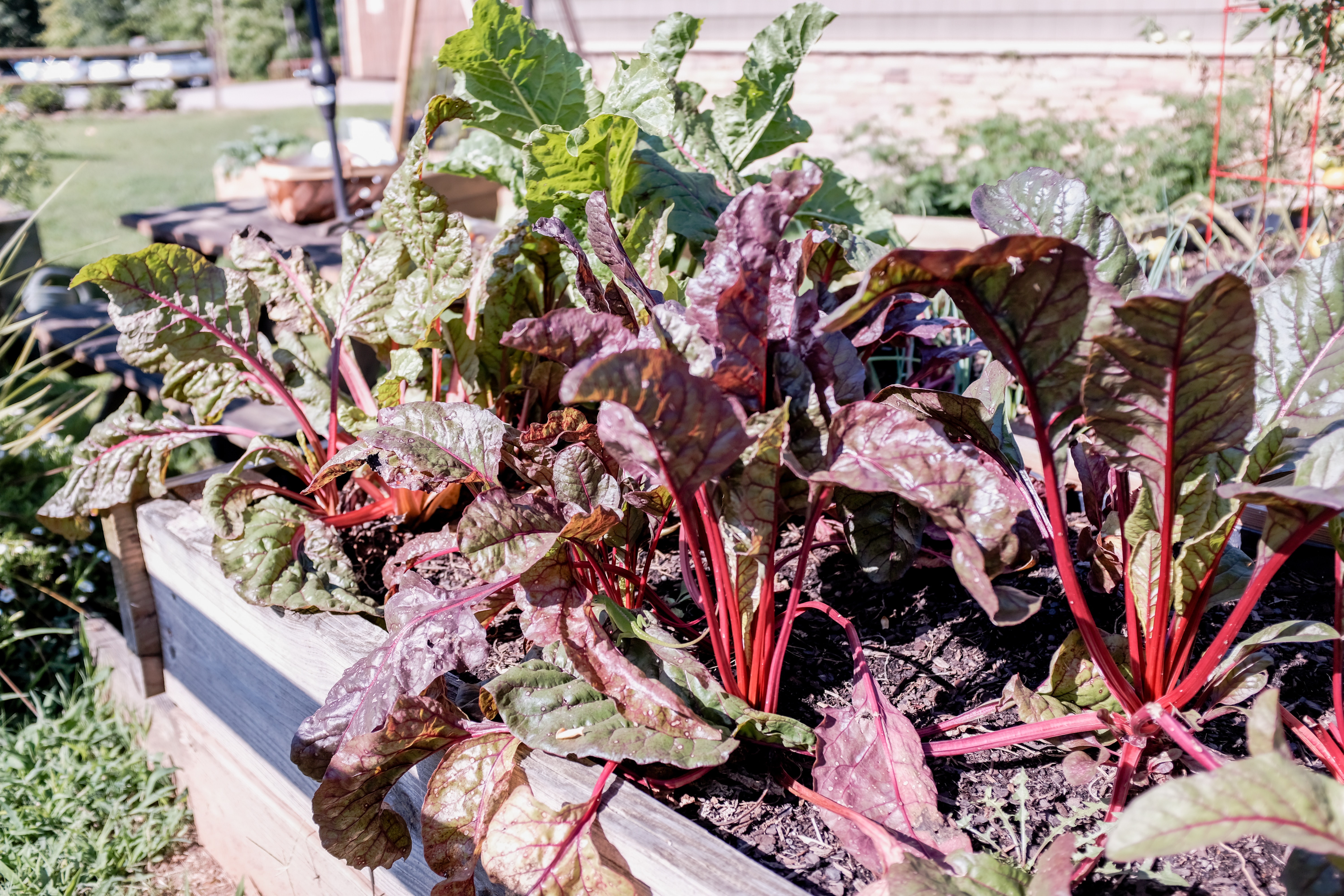 Garden Planter